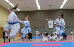 Wetterauer Karate-Turnier 